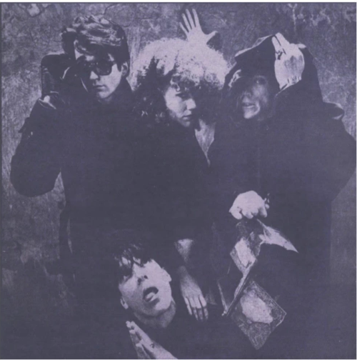 CRAMPS, THE "Transylvanian Tapes" LP